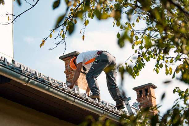 Best Roof Gutter Cleaning  in Inverness Highlands South, FL